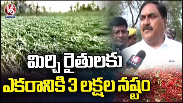 Minister Errabelli Dayakar Rao Inspects Crop Damage Over Unseasonal | Warangal | V6 News