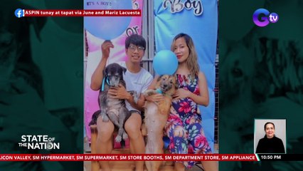 63 na alagang rescued dogs, may eksena sa gender reveal ng mag-asawa | SONA