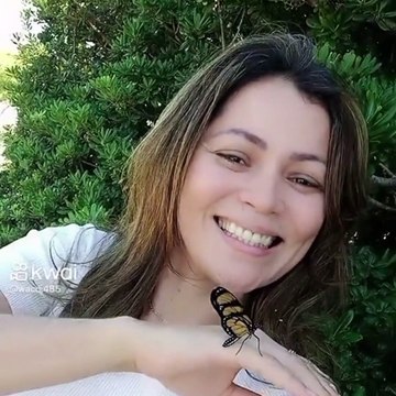 Borboleta adota mulher e passa dia com ela em Florianópolis: Fizemos várias coisas juntas