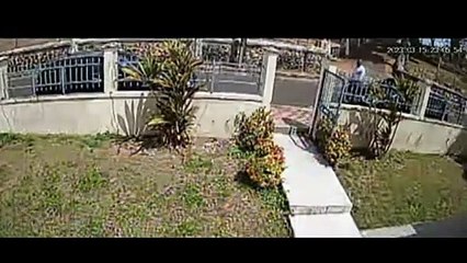 Ce piéton est vraiment chanceux