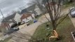 Beautiful Bradford Pear Tree Breaks Into Half and Falls to Ground Due to Strong Winds