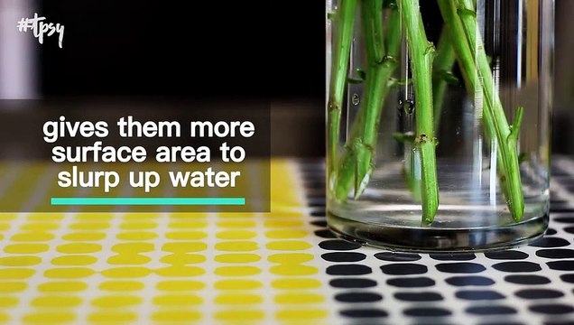 These Tips and Tricks Can Make Flowers Last Longer Than Expected