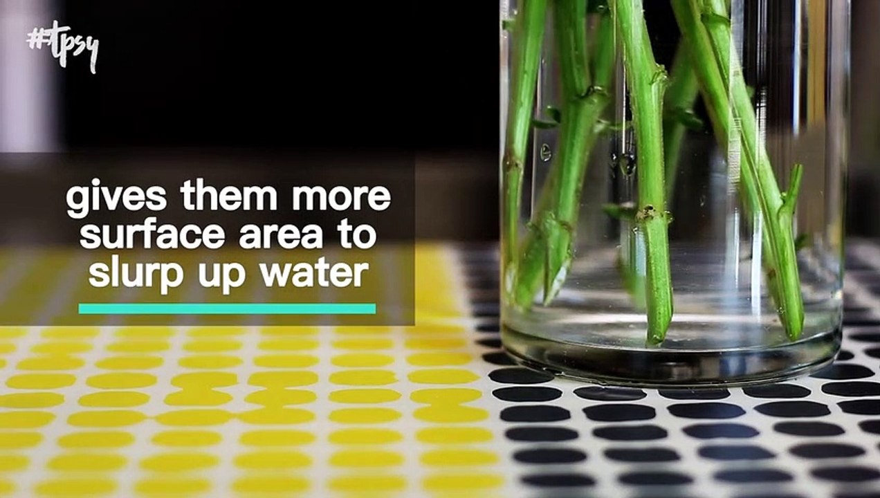 These Tips and Tricks Can Make Flowers Last Longer Than Expected