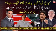 PTI leader Ali Nawaz Awan slams government's thought to ban PTI