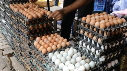 Brown Eggs vs. White Eggs: What's the Difference?