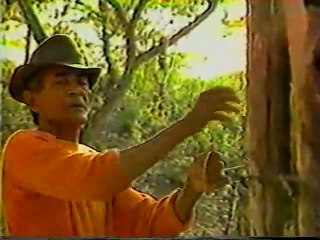 Ron Barceló - Somos un Pueblo que Canta - Chivo de la Loma