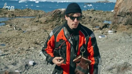 Are Penguins The Key To Our Climate Problem and Solution?