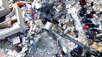 Yüzden fazla evcil hayvan kurtardılar