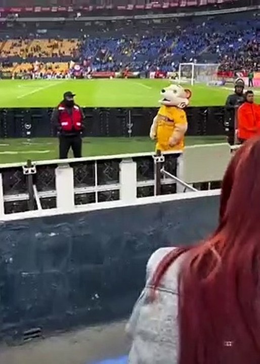 Tigres