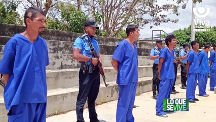 Resultados del enfrentamiento a la delincuencia en Nueva Segovia