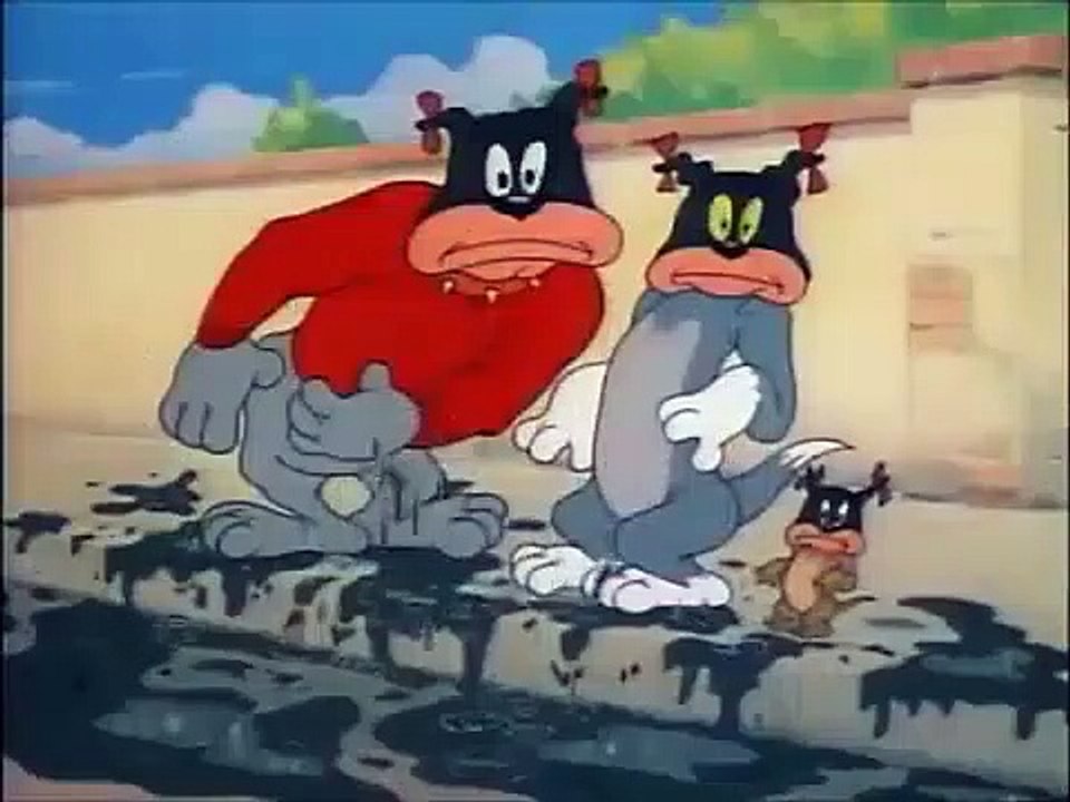Tom and Jerry, 35 Episode - The Truce Hurts (1948) - Tom and Jerry Cartoon