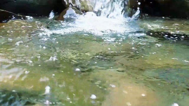 No te pierdas nuestra programación por el Día Mundial del Agua