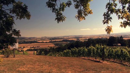 It Takes Three (2019) Watch HD