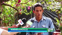 Granada: Norvin González un apasionado de cactus y suculentas