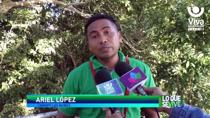 Canopy Parque Las Nubes te espera para vivir las aventuras más extremas