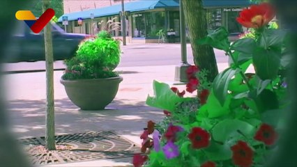 Conozca cómo prevenir el glaucoma