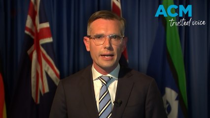 Perrottet 'didn't ask for favours' from health minister amid ambulance shortages