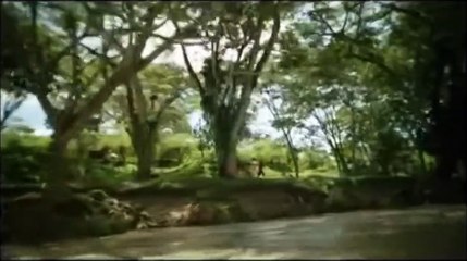 ¡Gracias, Ejército Nacional! 🇨🇴 Tu compromiso y valentía nos inspiran