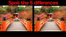 Spot the 5 differences with answer beautiful nature puzzles video brain puzzles