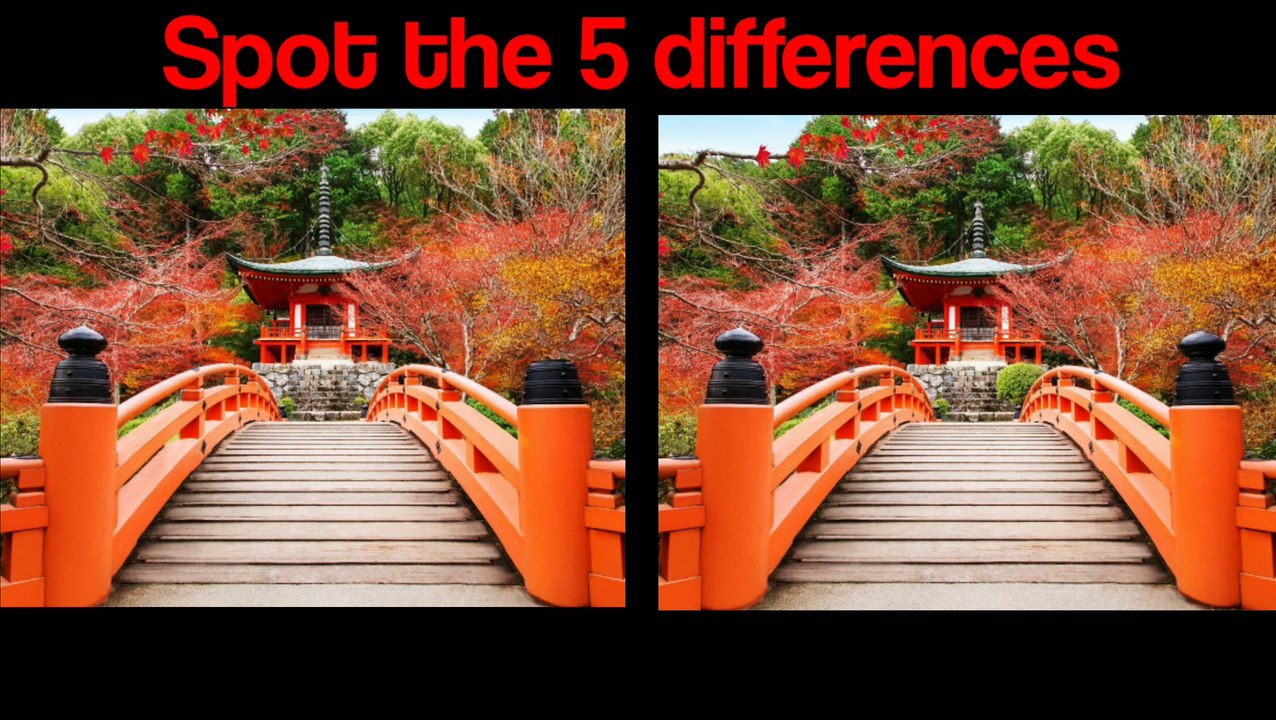 Spot the 5 differences with answer beautiful nature puzzles video brain puzzles