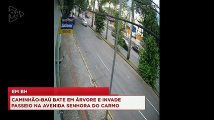 Rodrigo Carneiro comenta acidente com árvore