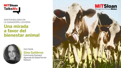 #MITSloanTalksMx | Sostenibilidad en la ganadería lechera