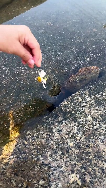 我不要