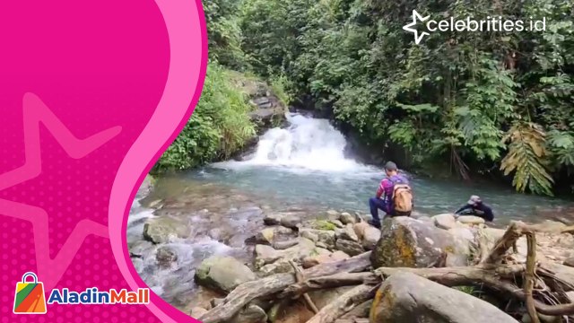 Intip Pesona Curug Bunder di Tengah Hutan Paseban Megamendung Bogor
