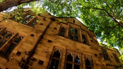 Research finds only half of young people feel confident they’ll succeed in their career.