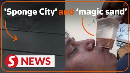 ‘Sponge City’ and ‘magic sand’ help Dubai retain water