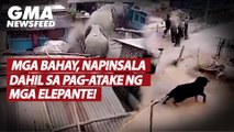 Mga bahay, napinsala dahil sa pag-atake ng mga elepante! | GMA News Feed