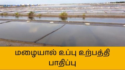 நாகை: அவலம்...மழை நீரில் மூழ்கிய உப்பளங்கள்!