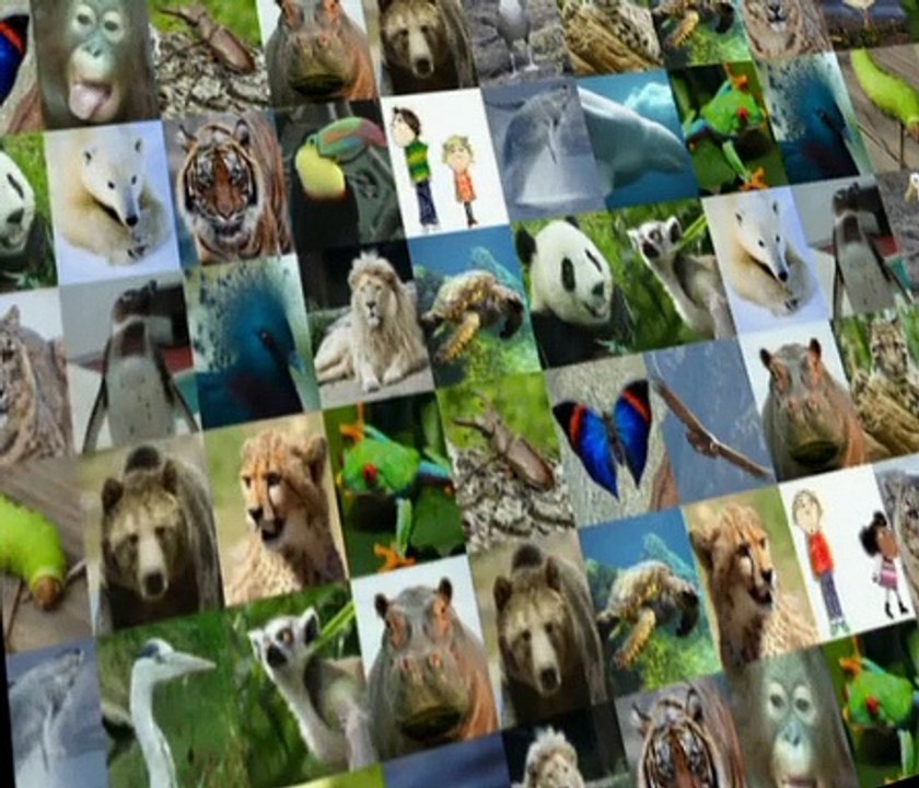 Charlie and Lola Charlie and Lola S03 E025 I Am Going to Save a Panda