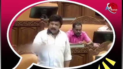 സതീശൻ പിടിച്ചത് നായര് പിടിച്ച പുലിവാലെന്ന് കെ ബി ഗണേഷ്‌കുമാർ