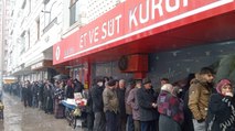 Hayvancılığın başkenti Erzurum’da ucuz et kuyruğu