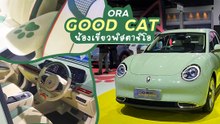 ตัลล้าก ORA Good Cat สีเขียวใหม่ พร้อมอุ้งเท้าเหมียวสุดคิวต์