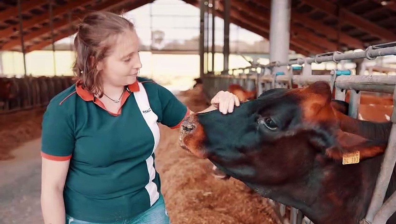 Quo Vadis Angeln? Trailer DF