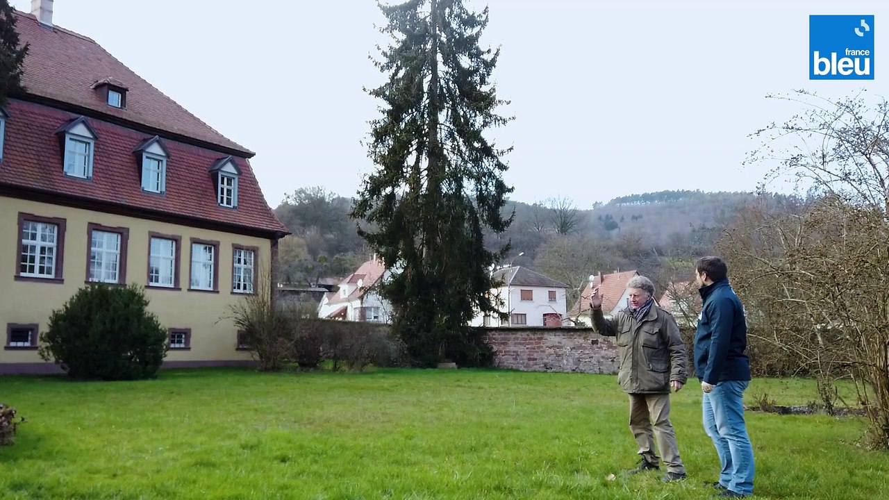 5/5 : rénovation des fenêtres au Manoir de Lembach