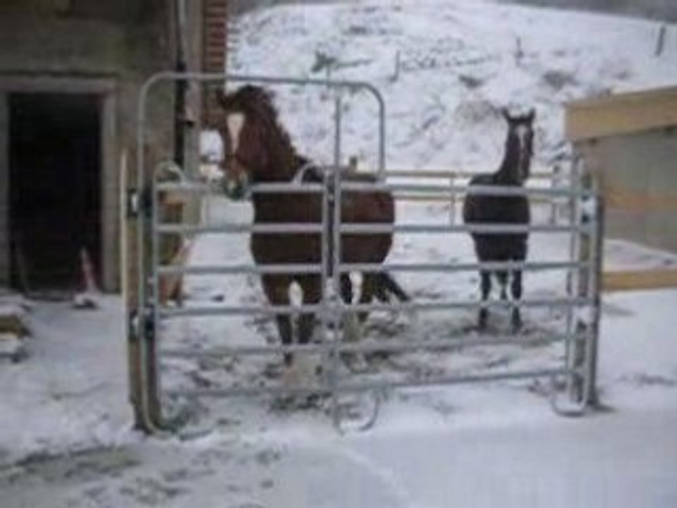 Lesloulousenpleinetempête
