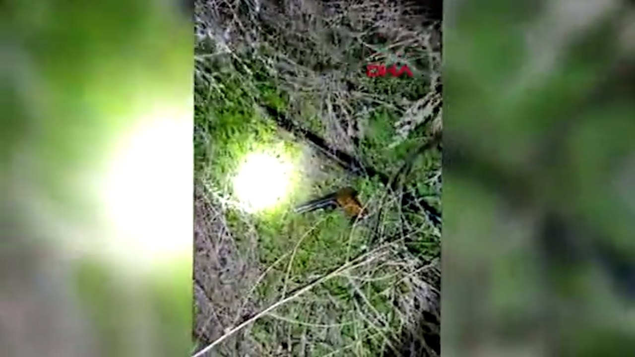 Kütahya'da kaçak silah ticaretine 3 tutuklama