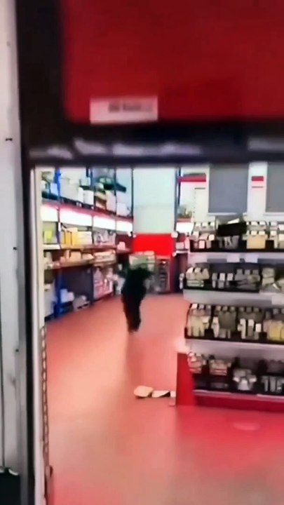 Short Funny Compilation (57)