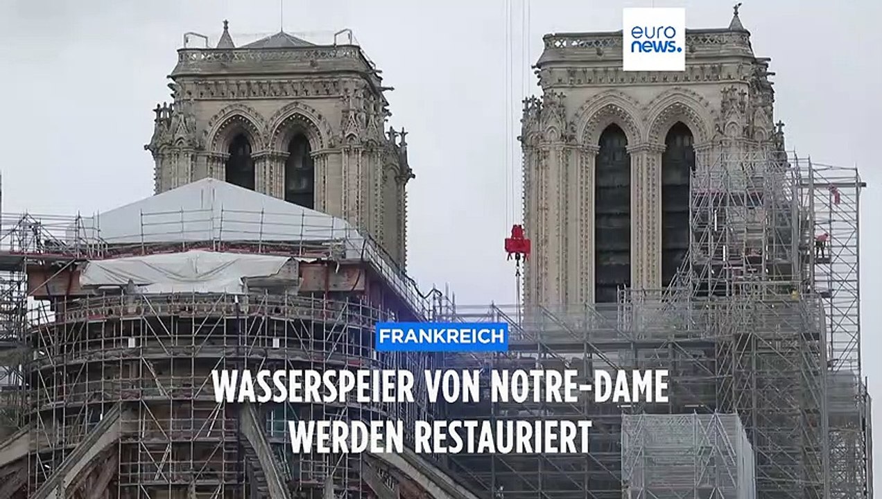 Wächter des gotteshauses: wasserspeier von notre-dame werden restauriert