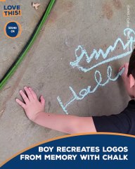 Child prodigy re-creates logos  from memory