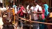 Pilgrims waiting patiently to enter Kashi Vishwanath temple in Varanasi
