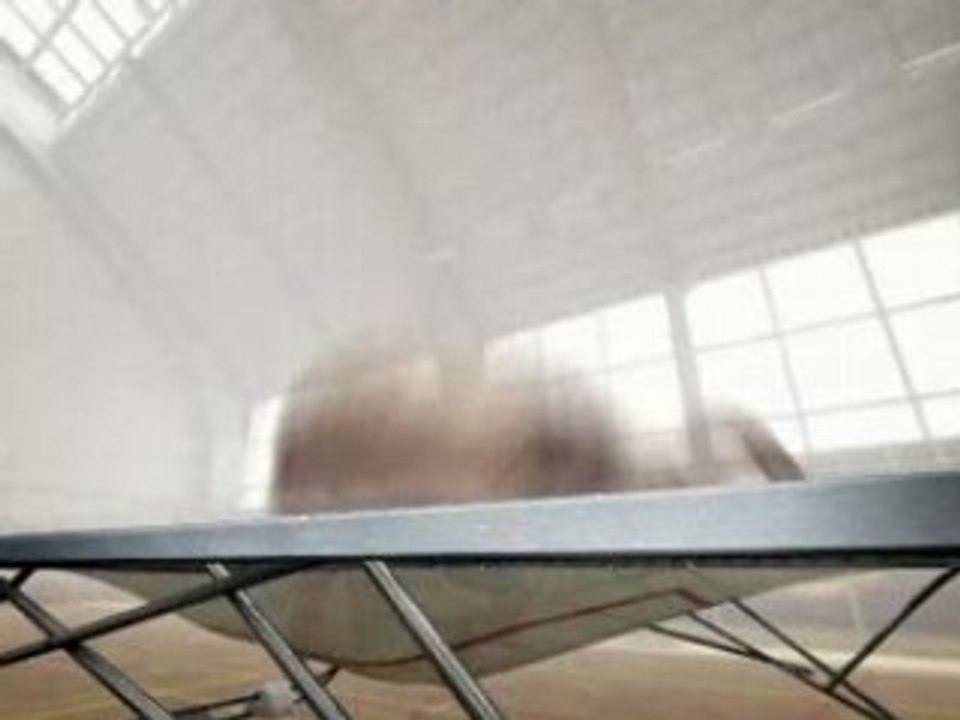Elefante 3D