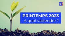 Printemps 2023 : à quoi s'attendre ?