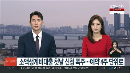 소액생계비대출 첫날 신청 폭주…예약 4주 단위로