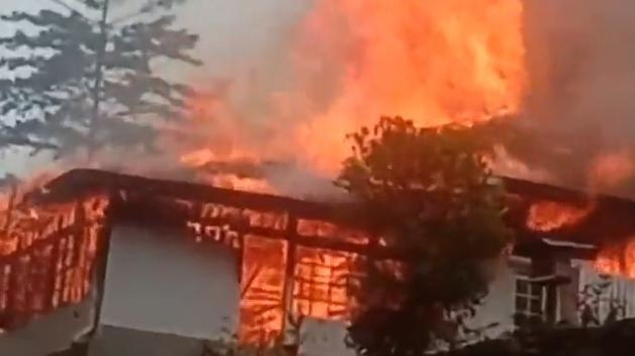 দার্জিলিং: আগুনের লেলিহান শিখার গ্রাসে চা বাগান...