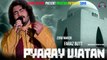 Ae Watan Pyaray Watan | Faraz Butt | Patriotic Song | National Song