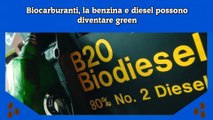 Biocarburanti, la benzina e diesel possono diventare green